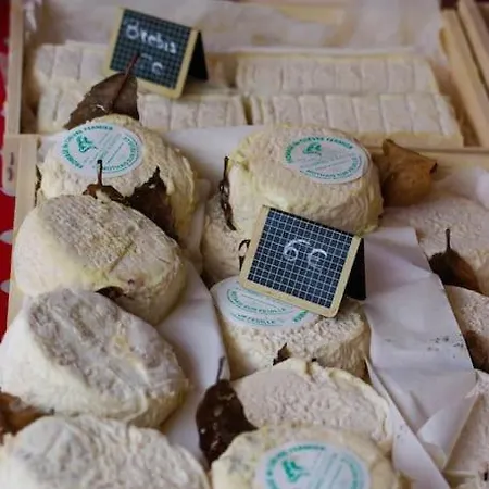 Semesterbostad Maison Antonin Saint-Antonin