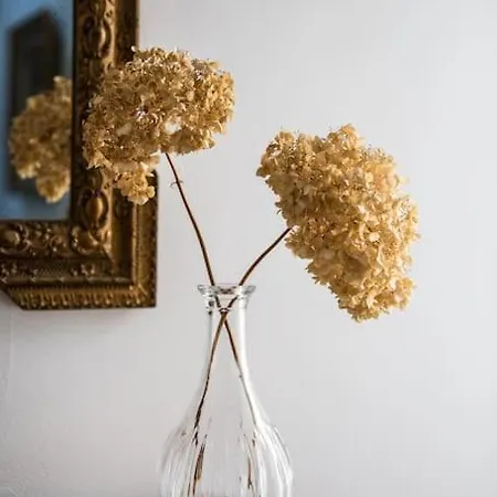 Maison Antonin Дом отдыха